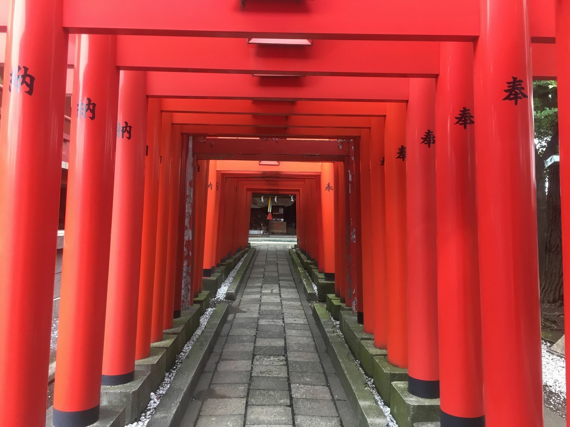 Japan Shinya Tokkyu Tokyo prefektur